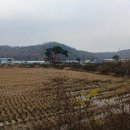 비봉면소재지 네이버블로그