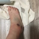 디스크독연구소 | [공지] 필라테스 센터 어디가야 할지 모르겠다면 필독해야 할 글 - 전주 필라테스 모비멘토