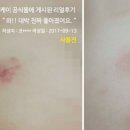 비케이정보통신 이미지
