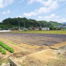 임경지공인중개사사무소 이미지