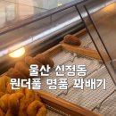 원더플명품꽈배기 이미지