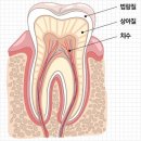 서울언제나치과의원 이미지