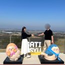 (주)웰빙 | 서산한우목장 웰빙산책로 벚꽃명소라는 걷기좋은 목장길 후기