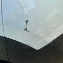 1급청솔모터스 이미지