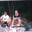 해신골 Daum카페