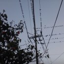 가천 경로당 이미지