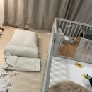 에브리데이 펫 | [내돈내산] 대형견 실내 강아지집 초코펫하우스 &#34;울트라 에브리데이하우스 3.0&#34; 후기