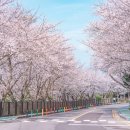 공설운동장길(공설운동장) 이미지