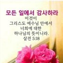 신명기16 이미지