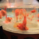 코엑스아쿠아리움 이미지