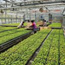 약용작물센터 이미지