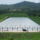 신 동원농장 이미지