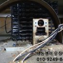 우성수리 이미지