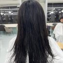 대전둔산동미용실 엘포엘헤어 대전둔산점 현주디자이너 레이어드 펌 후기