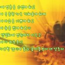 하신 Daum카페