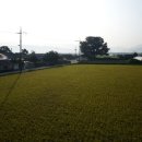 성덕경로당 이미지