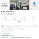 에그플랜트 | 에그플랜트 협재 판포 점, 협재해수욕장 현지인 맛집 모던했던 에그플랜트 군탱 후기