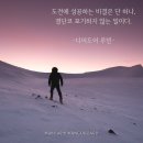 망고디자인 이미지