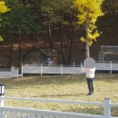 (주)테일즈파크 이미지