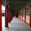 왕비주단 이미지