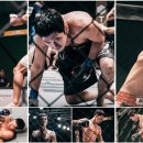 (주)시그널픽쳐스 마이데일리