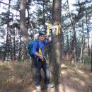 남지시장 이미지