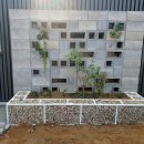 감꽃펜션 이미지