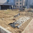 아산시-2022-010 이미지