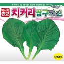 씨앗 - 남양주시 덕소로116번길 11 | 씨앗