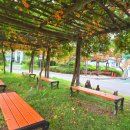 충북도립대학교 이미지