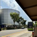 우림슈퍼 | 싱가포르 4박 5일 여행기 3일차_2 가든스바이더베이 완전정복! 플라워판타지부터 슈퍼트리후기