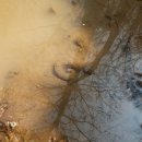 일장천약수터 이미지