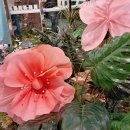 B 전시 | 서울 동대문 놀거리 추천 | 동대문 DDP B the B 팝업 전시 솔직 후기! 동대문 가볼만한 곳