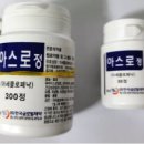 정글로벌 이미지