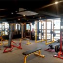 디케이휘트니스 이미지