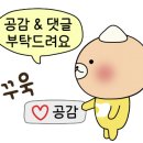 Papa reve(파파레브) 이미지