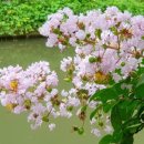 진리의 비상 이미지