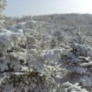 봉화랜드 이미지