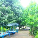 속리산화이트민박 이미지