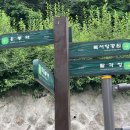 성수서울숲약국 네이버블로그