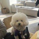 로우업커피 오송직영점 네이버블로그