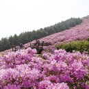 제4차 라온산악회 5월 정기산행 안내 남원 봉화산(철쭉산행) 이미지