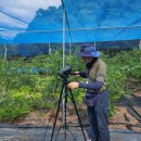 큰골농장 이미지