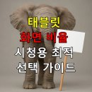 ASIA 시네마콘서트/미래와의 조화 | 태블릿 화면 비율 영상 시청용 최적 선택 가이드