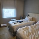 폰스테이션 | 일본 오사카 여행 히요리 호텔 오사카 남바 스테이션 숙박 후기