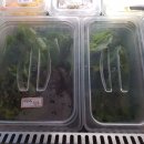 신선가든 이미지