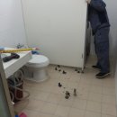 국민체육센터(수영장) 화장실 이미지