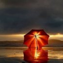 Good Forest 이미지