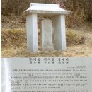 흥도초교 이미지