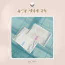 하얀 | 유기농 생리대 하얀하얀생리대 순면 흡수력 솔직후기